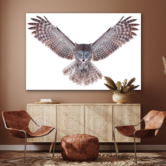 Décoration murale Métal - Peinture Aluminium - Hibou volant - 150x100 cm