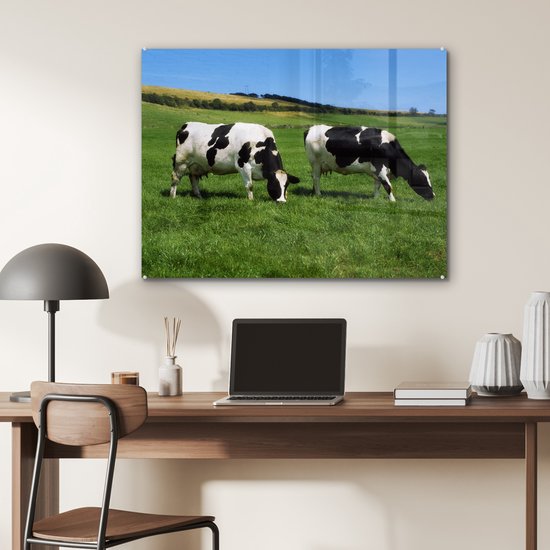 Deux vaches frisonnes dans l'herbe verte Plexiglas 80x60 cm - Tirage photo sur verre (décoration murale plexiglas)