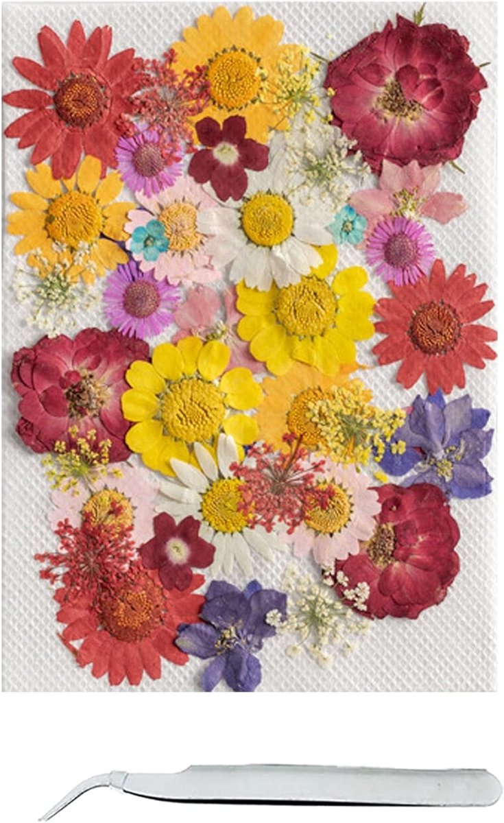 Allecto Plus - Natuurlijke Gedroogde Geperste Bloemen voor Harskaarsen en Sieraden - Set van 42 stuks