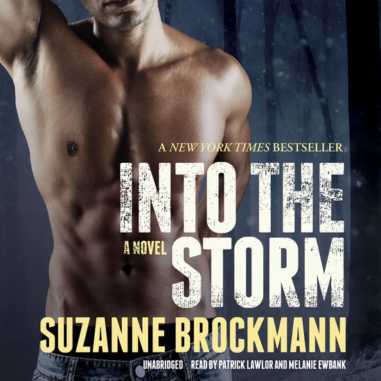 Into the Storm - cover