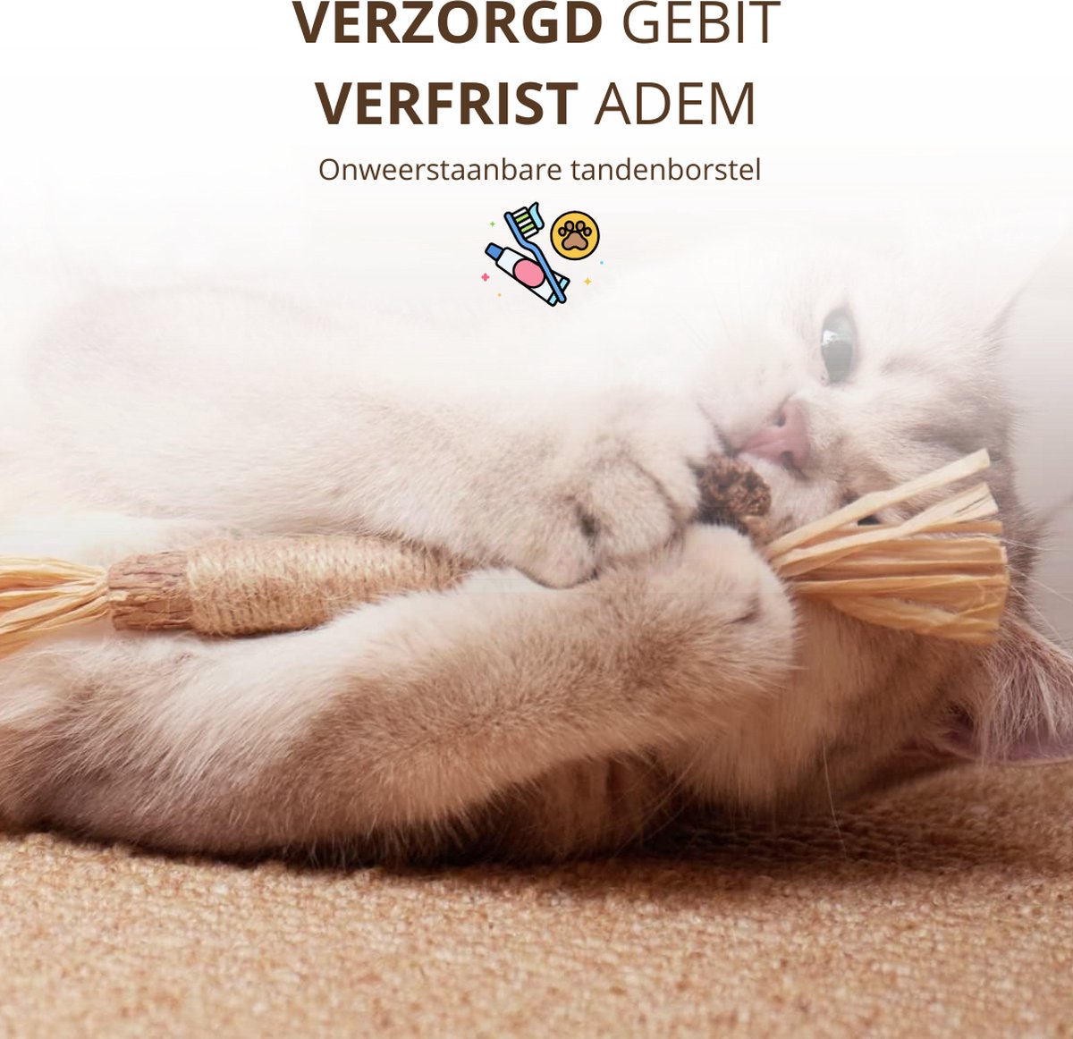 Twenty4seven® Matatabi Stokjes voor Katten - 5 Stuks - 100% Natuurlijk en Eetbaar Kattenspeelgoed - Catnip Effect voor Kat thumbnail 3