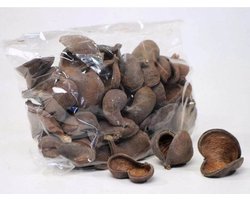 Badam noot 5-8 cm | natuurlijke schuilplaats & tanninebron voor aquarium