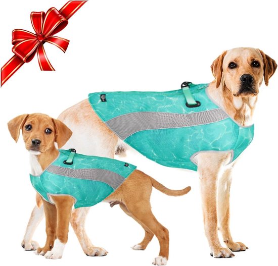 Joydaog