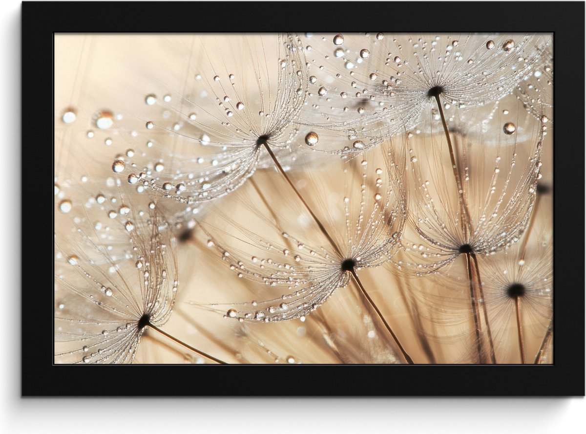 FrameYourWall Poster in lijst - Fotolijst 30x20 cm - Posters - Paardenbloem - Abstract - Natuur - Beige - Posterlijst zwart - Decoratie - Wanddecoratie woonkamer - Muurdecoratie slaapkamer Paardenbloem - Water
