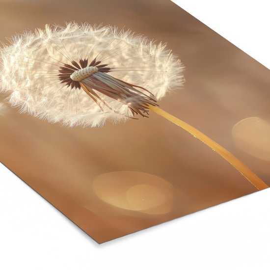 Poster in lijst - Fotolijst 30x40 cm - Posters - Paardenbloem - Beige - Natuur - Bloem - Posterlijst zwart - Decoratie - Wanddecoratie woonkamer - Muurdecoratie slaapkamer