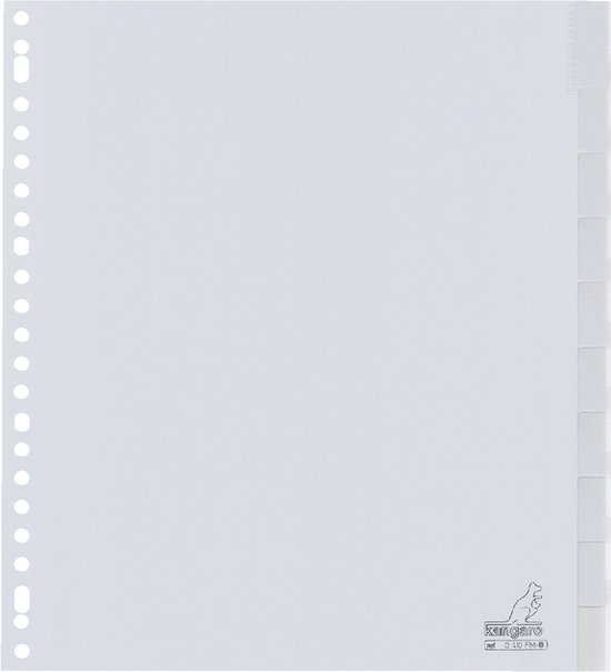 Leitz Dec - Jan Maand-tabbladen A4 Grijs 12 tabs 100 g/m² Karton 3