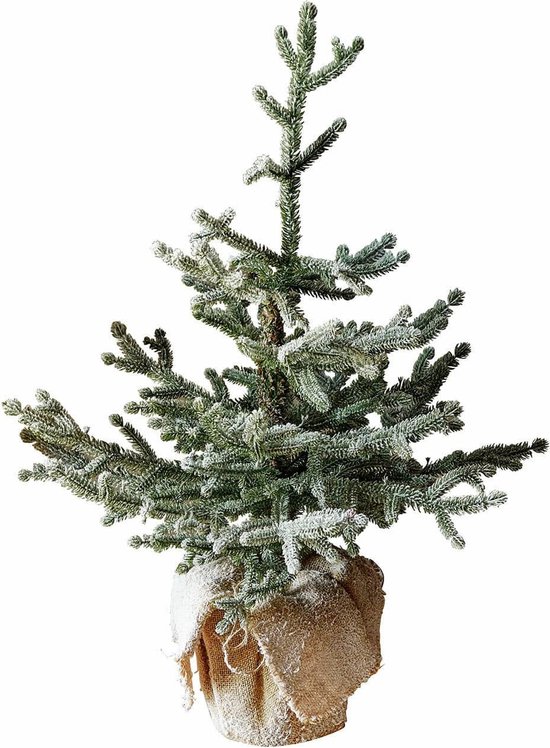 LOBERON Arbre ornemental Glenda vert