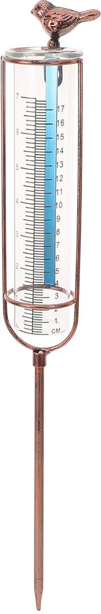 Decoratieve Regenmeter voor Buiten met Kolibrie Design, Vorstbestendig en Glazen Watermeter voor Tuin