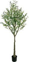 Olijfboom Buxibo 1,8 mètre - 1224 feuilles - 68 fruits - Plante artificielle - Vert