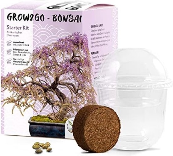 Foto: Bonsai starter kit growing set incl gratis ebook plantenset van minibroeikas zaden grond duurzaam cadeau idee voor plantenliefhebbers