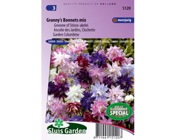 Sluis Garden - Akelei Granny's Bonnets Mix (Aquilegia vulgaris)