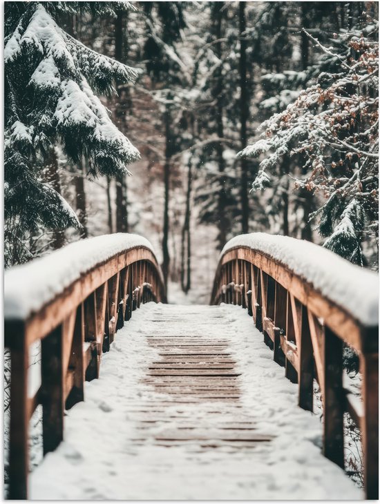 Poster 30x40 cm - Brug - Winterlandschap - Bos - Natuur - Sneeuw - Posters - Kamer decoratie - Wanddecoratie woonkamer - Muurdecoratie slaapkamer