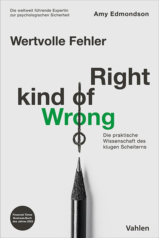 Wertvolle Fehler - Right Kind of Wrong - cover