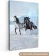 Chevaux, Blanc, Noir
