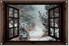 Sentier forestier, Hiver