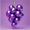 Disco - Raisins, Violet