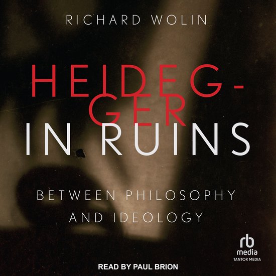 Heidegger in Ruins - cover