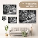 Product afbeelding  9