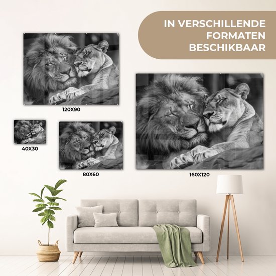MuchoWow® Glasschilderij 160x120 cm - Schilderij acrylglas - Leeuwen - Dieren - Zwart - Wit - Leeuw - Foto op glas - Muurdecoratie woonkamer - Wanddecoratie slaapkamer - Schilderijen