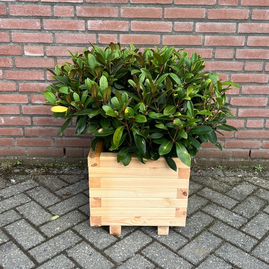 Pottery Pots Naturel Block 50x50x50 cm zwart vierkante plantenbak