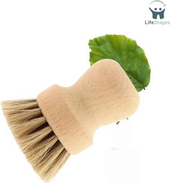 Brosse à Légumes En Bois De Hêtre 13,5 Cm – Poils Naturels Rigides & Doux – Parfaite Pour Pommes De Terre, Carottes & Fruits