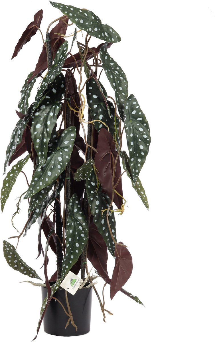 Kunstpalm Kunst Kamerplant Begonia | 80cm - Kunstplant voor binnen - levensechte kunstplant - Begonia kunstplant met stippen Donkergroen