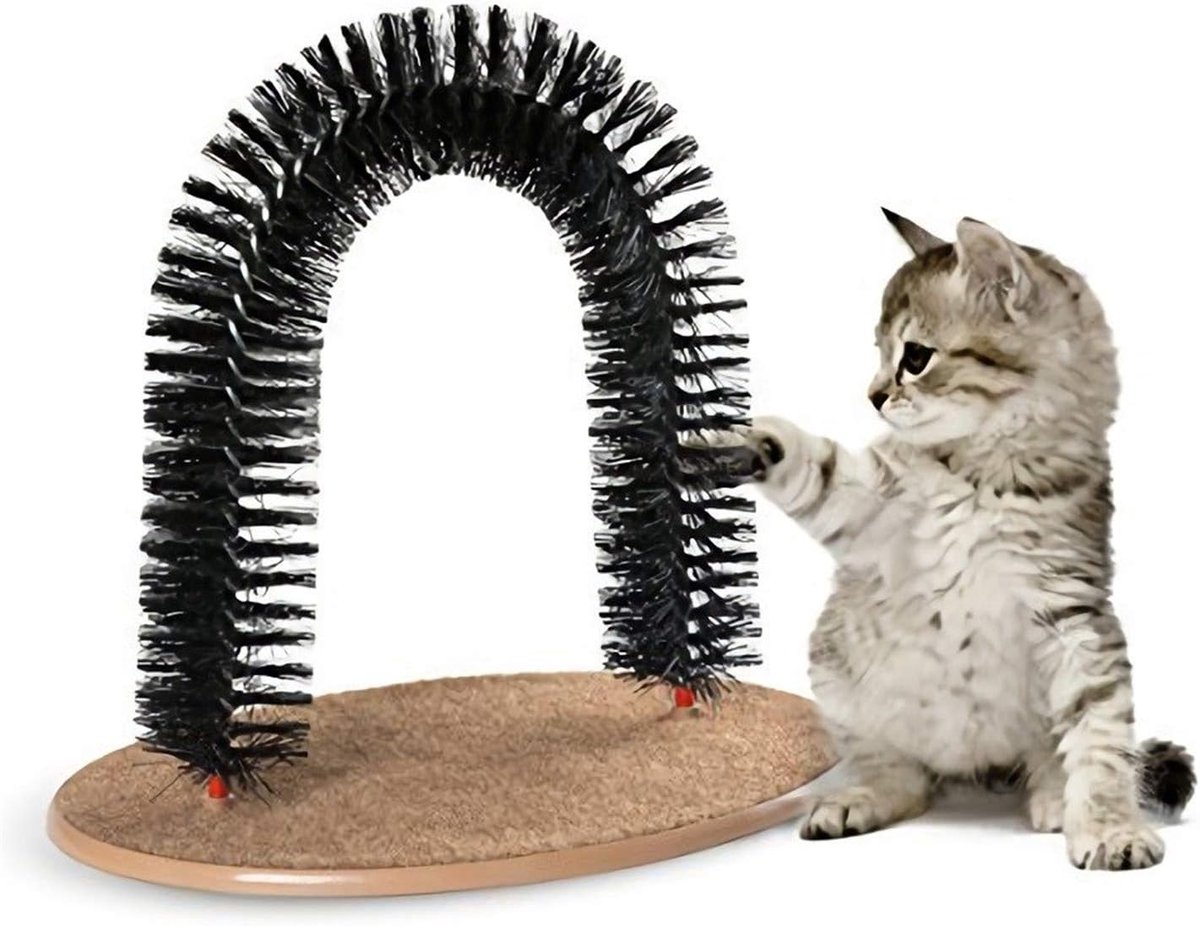 Katten Borstel - Zelfverzorging Speelgoed - Vacht Verzorgen - Met Muntgeur - Eén Maat