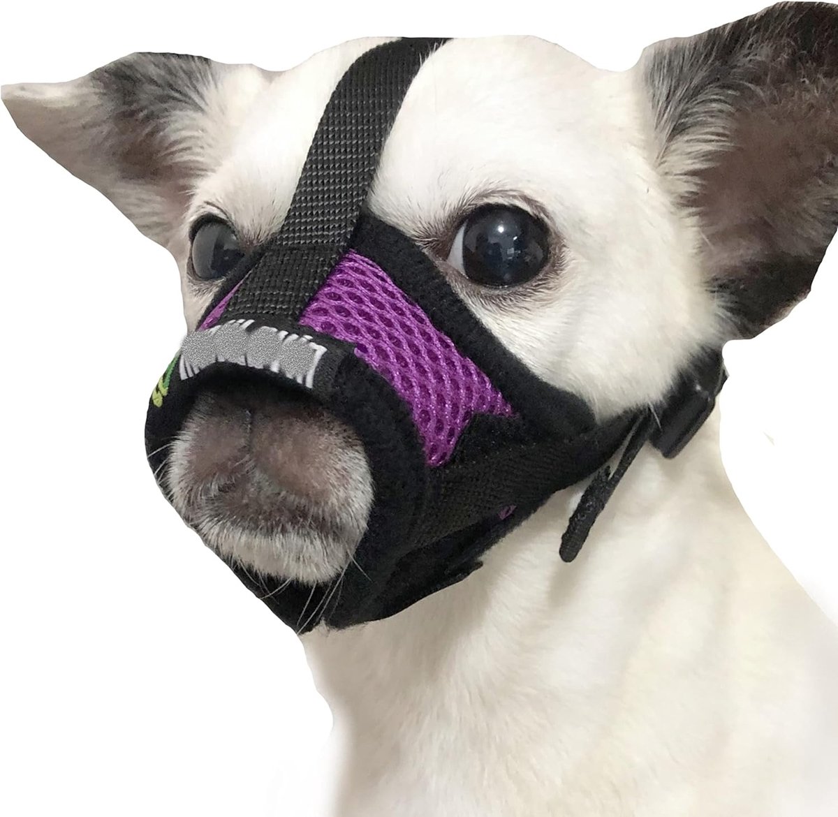 Hondensnuit Ademend - Mondkap Hond - Gedragstraining Hond - Drinkbaar Ontwerp - Maat XS - Paars