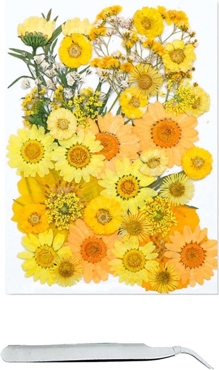Geperste Bloemen - Gedroogde Decoraties - Knutselen Sieraden - Natuurlijke Echte Bloemen - 40 Stuks 11 Stijlen - Veelkleurig