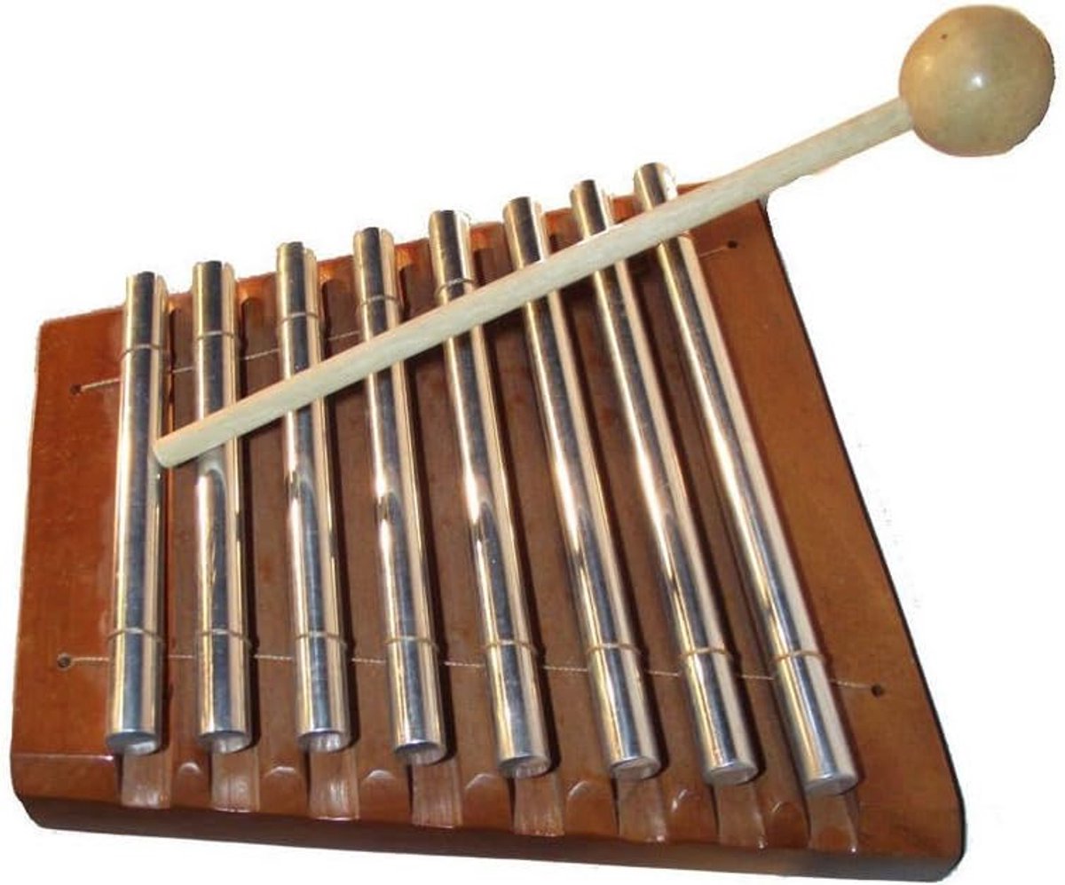Kinder Xylofoon - Muziekinstrument Hout - Muziek Maken - 8 Metalen Klankstaven - Onbeschilderd