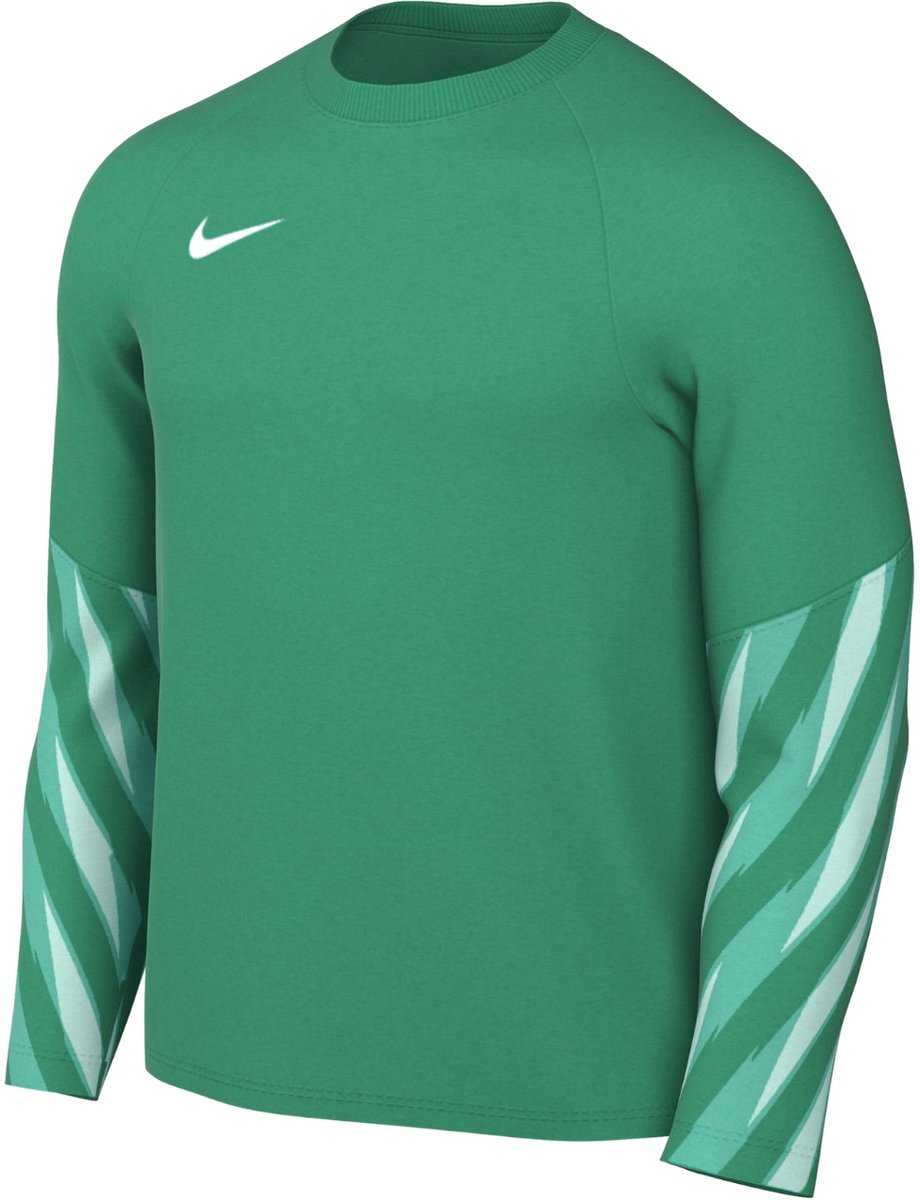 Nike Team Sweater Heren Dri-FIT Park V Stadium Groen - Maat S