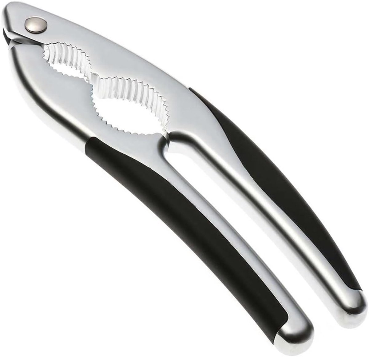 Notenkraker Zeevruchten - Notenopener Schelp - Luxe Keukengerei - Roestvrij Staal Grip - Vaatwasmachinebestendig