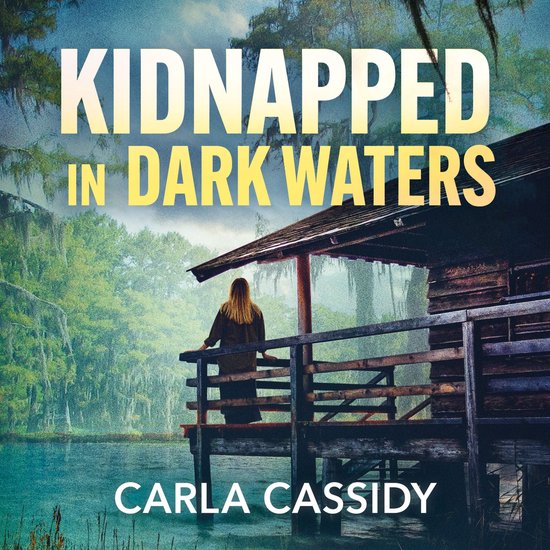 A Bayou Investigation- Kidnapped In Dark Waters - cover