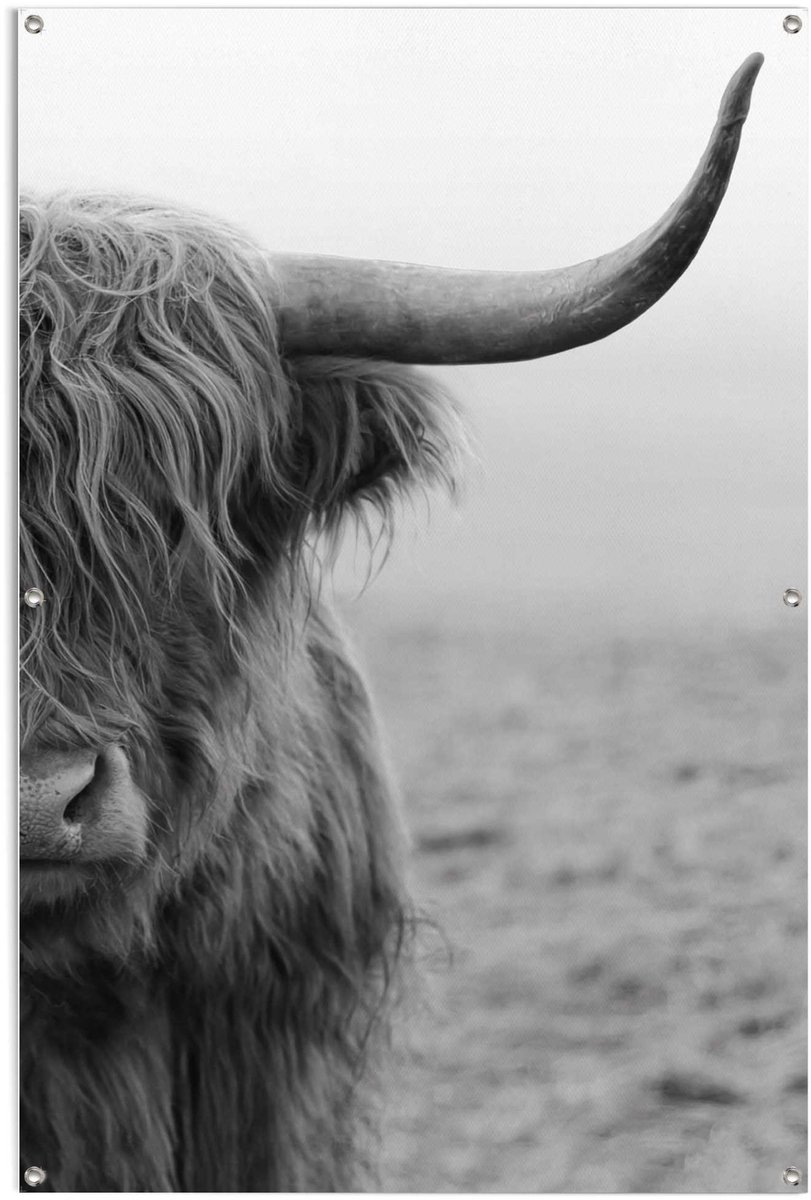 Tuinposter Schotse Hooglander - 120 x 80 - Canvas - REINDERS