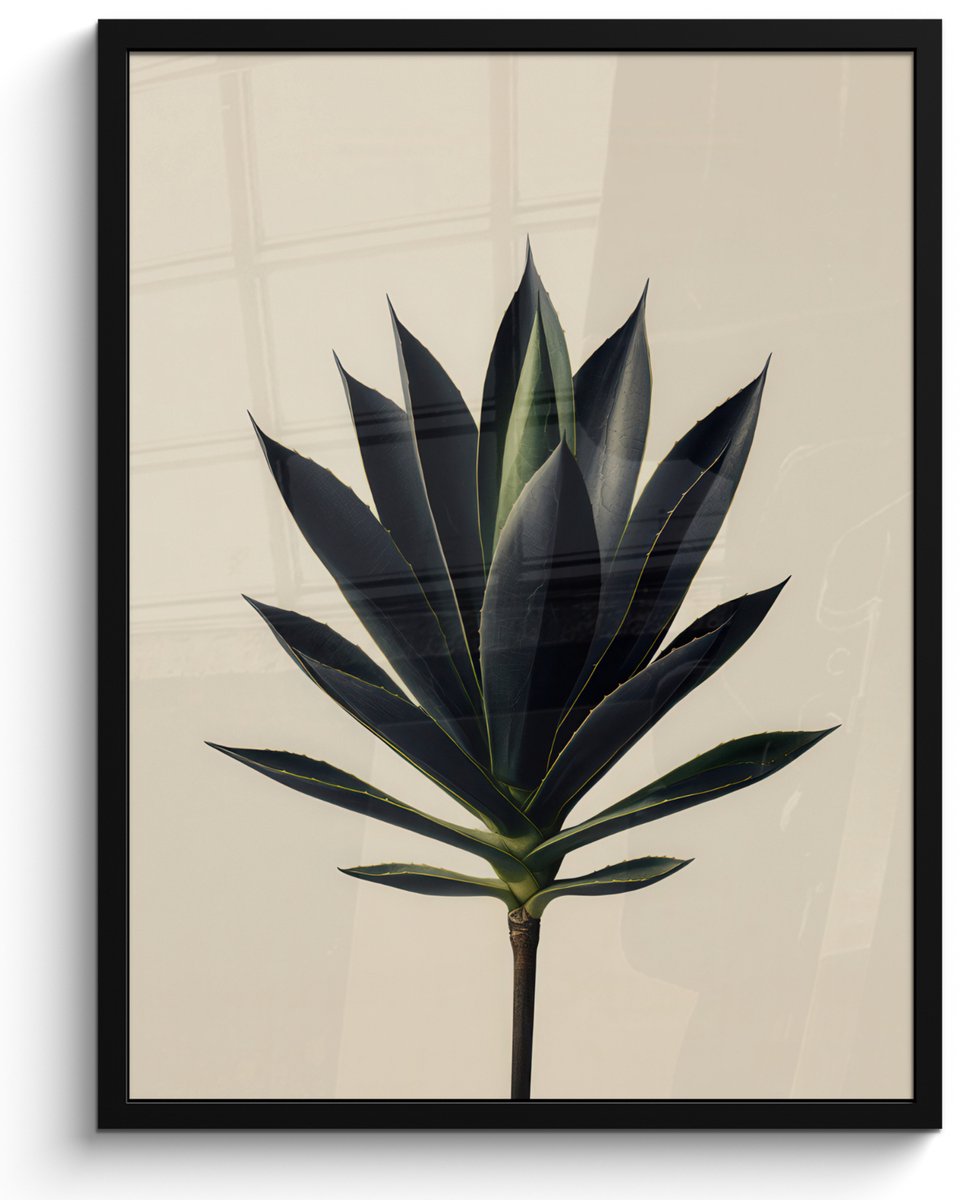 FrameYourWall Poster in lijst - Fotolijst 50x70 cm - Posters - Agaveplant - Symmetrisch - Groen - Posterlijst zwart - Decoratie - Wanddecoratie woonkamer - Muurdecoratie slaapkamer