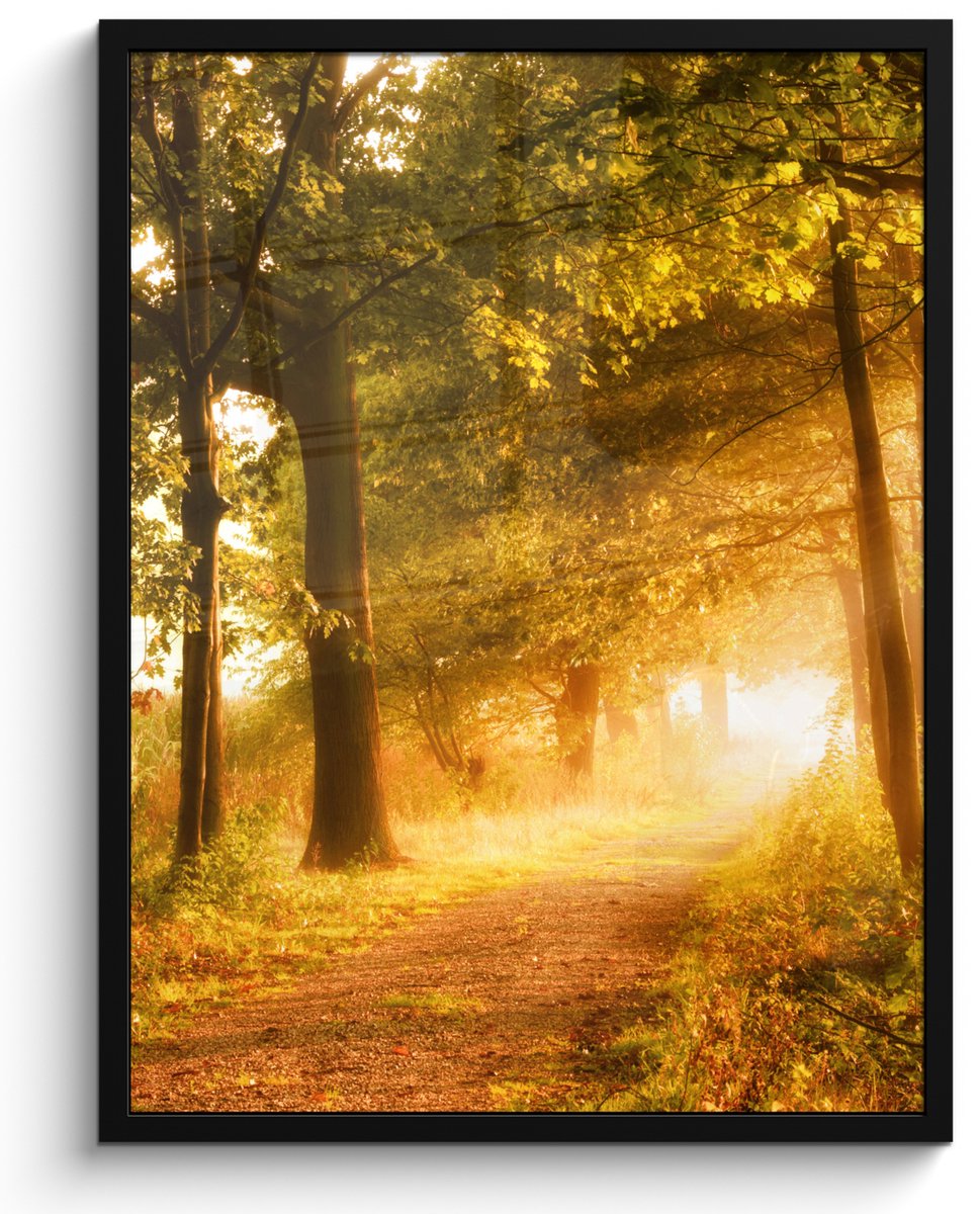 FrameYourWall Poster in lijst - Fotolijst 50x70 cm - Posters - Bos - Bomen - Zonlicht - Herfst - Bospad - Natuur - Posterlijst zwart - Decoratie - Wanddecoratie woonkamer - Muurdecoratie slaapkamer Groel