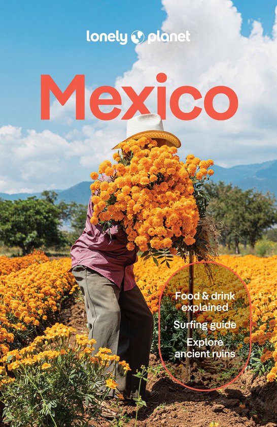Travel Guide - Lonely Planet Mexico - cover