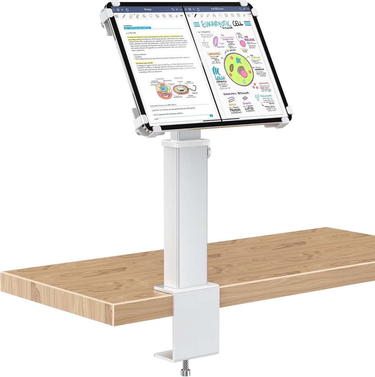 Draaibare Klembevestiging Tablet Standaard 9,7-13 Inch Zilver