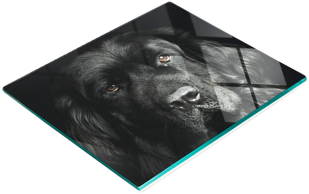 Decoratieve glazen serveerplank met Newfoundlandse snackmotief, 60x52 cm
