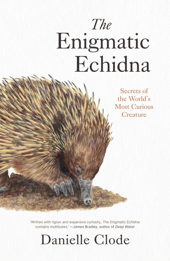 The Enigmatic Echidna - cover