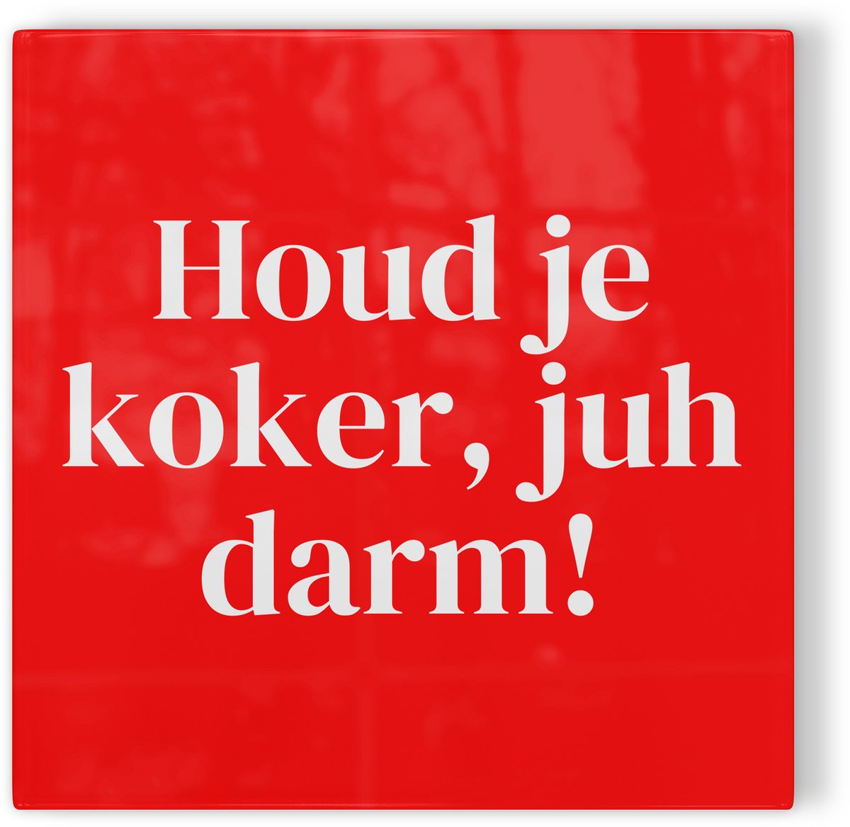 Tegeltje Leiden Houd je koker, juh darm! - rood wit - tegeltje stad - tegeltje met tekst