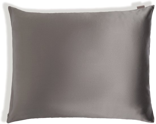 Dore & Rose - Zijden Kussensloop 80x80 - Silk Pillowcase - Gemaakt Van De hoogste Kwaliteit 23 Momme Moerbeizijde - Premium Kussensloop Geschikt Voor Ieder Huidtype - Grijs