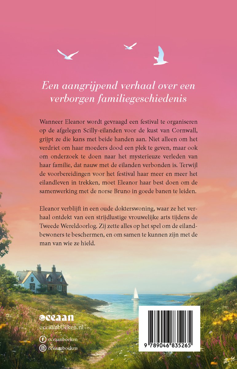 De Cornwall serie 3 - Een ontmoeting op het eiland - back cover