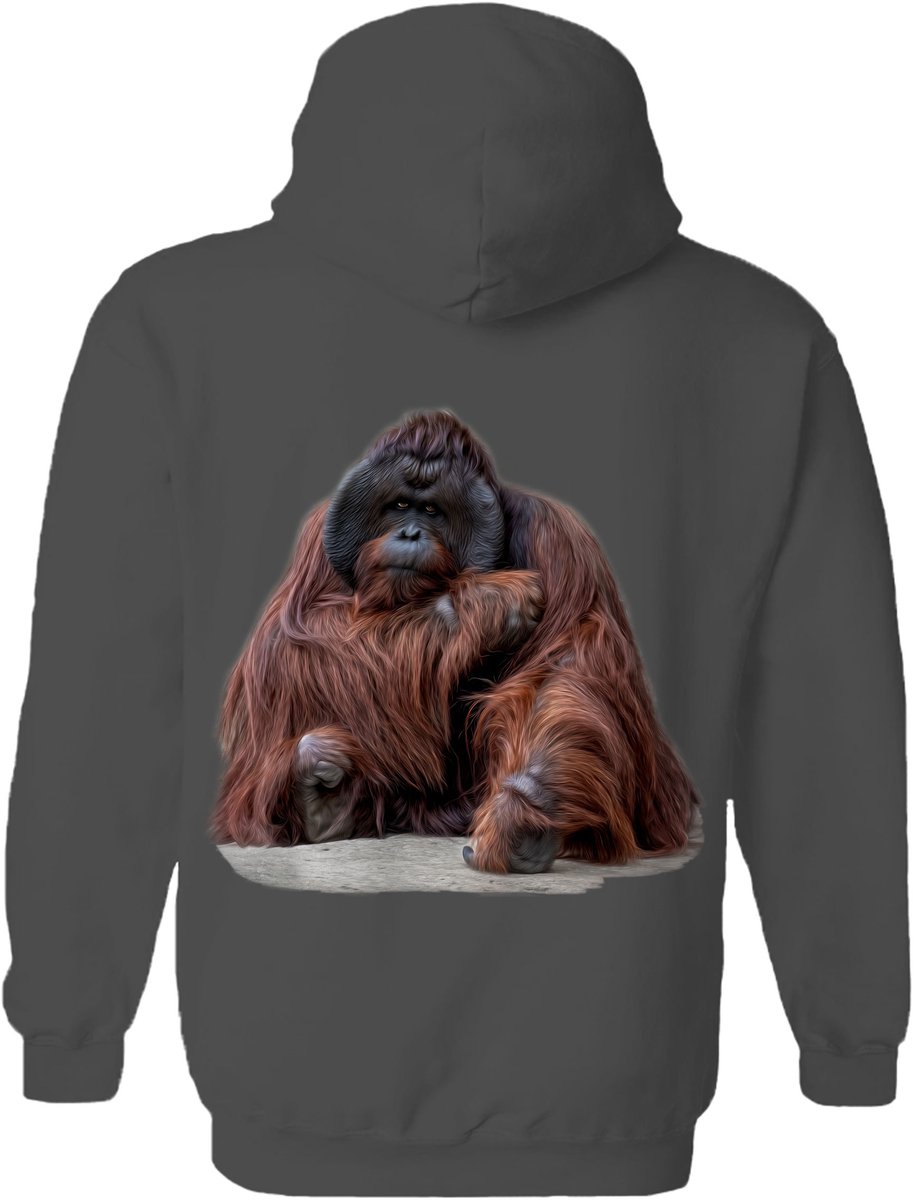 Orangoetan Wisdom Beyond Words - Orangutan The Coloured House Hoodie 3XL