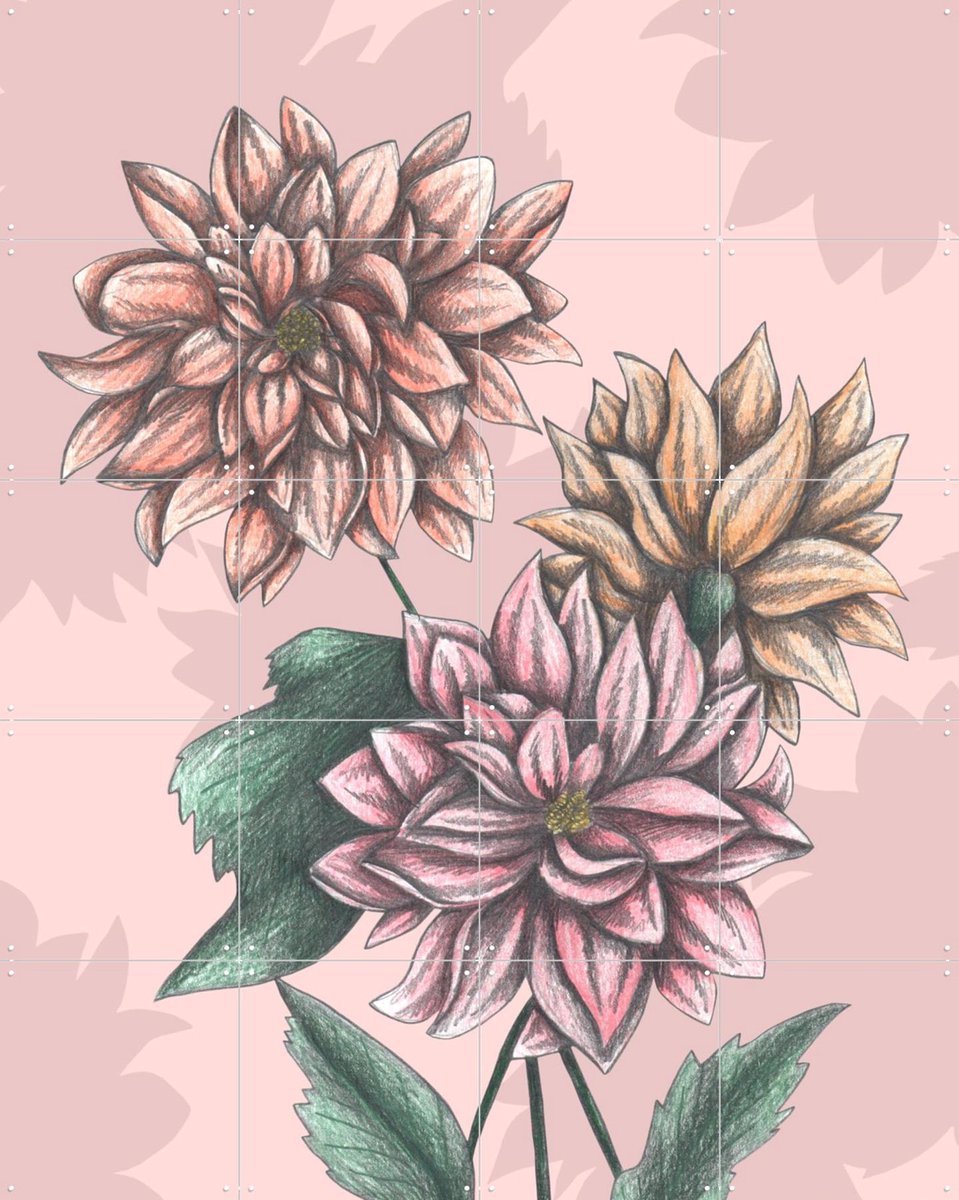 IXXI Pink Dahlias, Cecilia Battaini - 80 x 100 cm - Gratis ophangtool - Grote wanddecoratie en posters - Illustraties, Tekeningen, Slaapkamer
