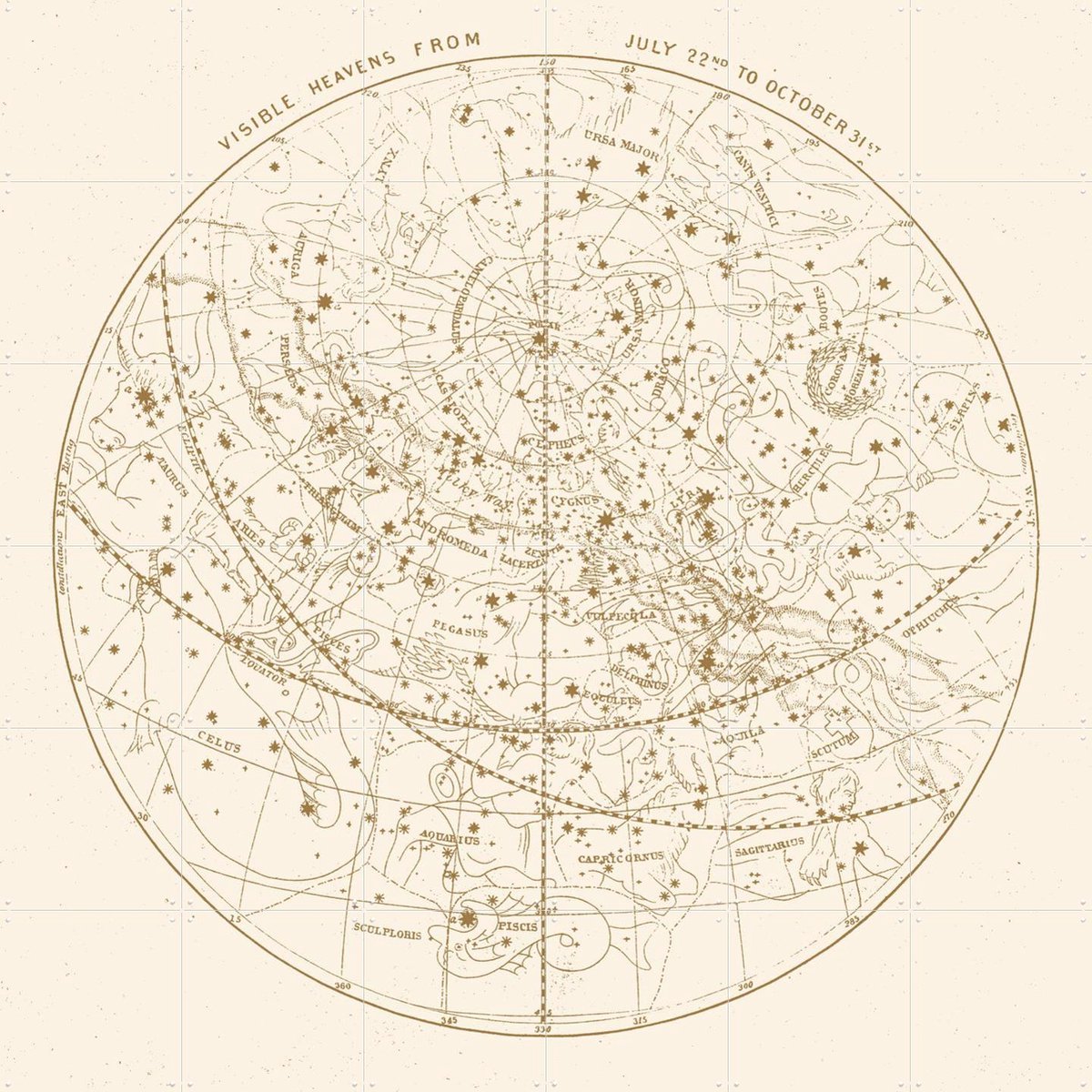 IXXI Visible Heavens Gold, Aster Edition - 120 x 120 cm - Gratis ophangtool - Grote wanddecoratie en posters - Illustraties, Technische Tekening