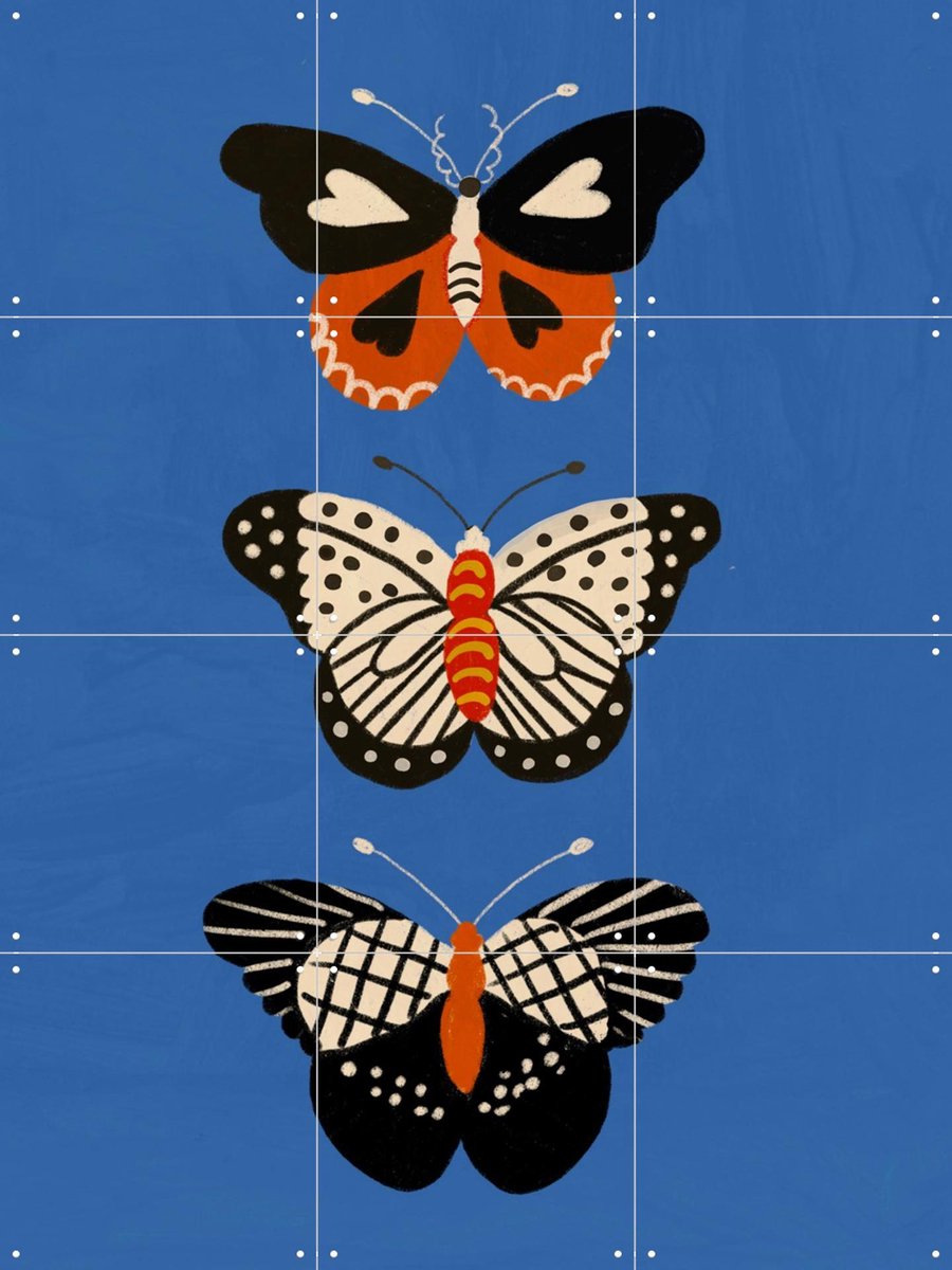 IXXI Butterflies, Gigi Rosado - 60 x 80 cm - Gratis ophangtool - Grote wanddecoratie en posters - Speels, Grafisch Ontwerp, Kleurrijk, Illustraties