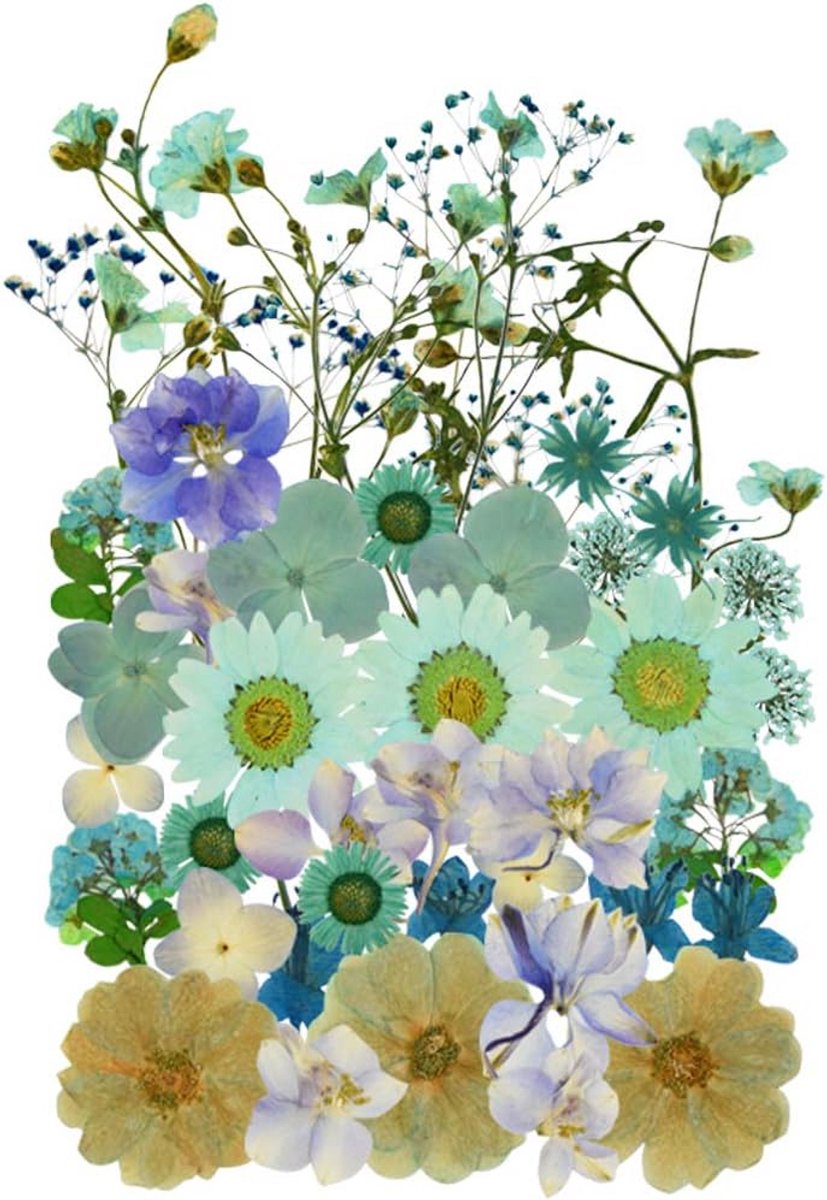 Gedroogde Bloemen Mix Lichtblauw Ambachtelijke Decoratie voor Hars en Nail Art