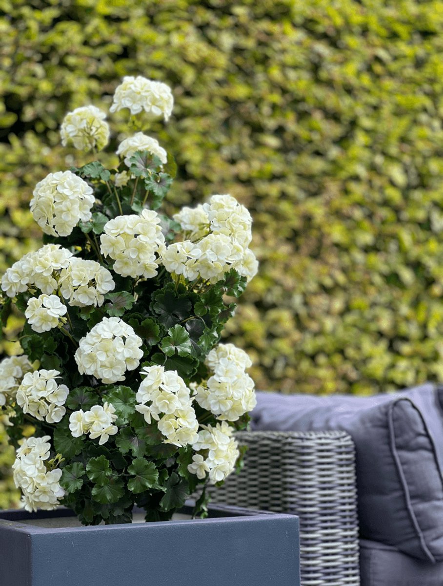 Geranium pyramide 110cm kunstplant UV creme-wit