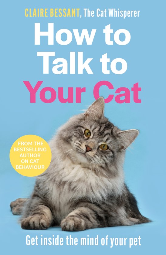 Couverture du livre 'How to Talk to Your Cat' avec un chat gris poilu sur un fond bleu clair.